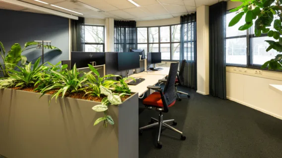 Enschede Moore MKW 2