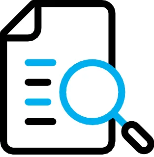Icon audit